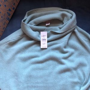 NWT loft sweater - teal